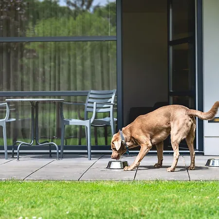 Golfhotel Gut Neuenhof Hotell 4*