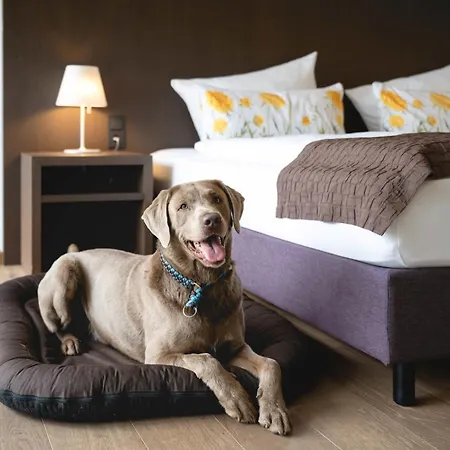 Golfhotel Gut Neuenhof Hotell Fröndenberg