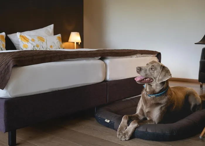 Golfhotel Gut Neuenhof 4* Fröndenberg