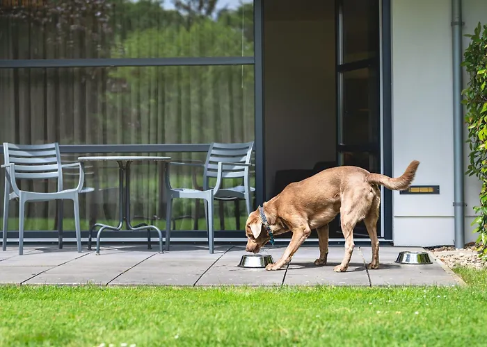 纽恩霍夫高尔夫酒店 酒店 4*