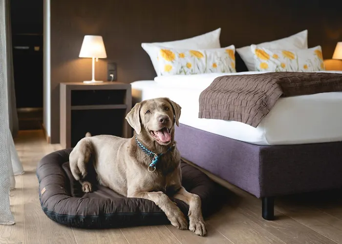 Golfhotel Gut Neuenhof Hotell Fröndenberg